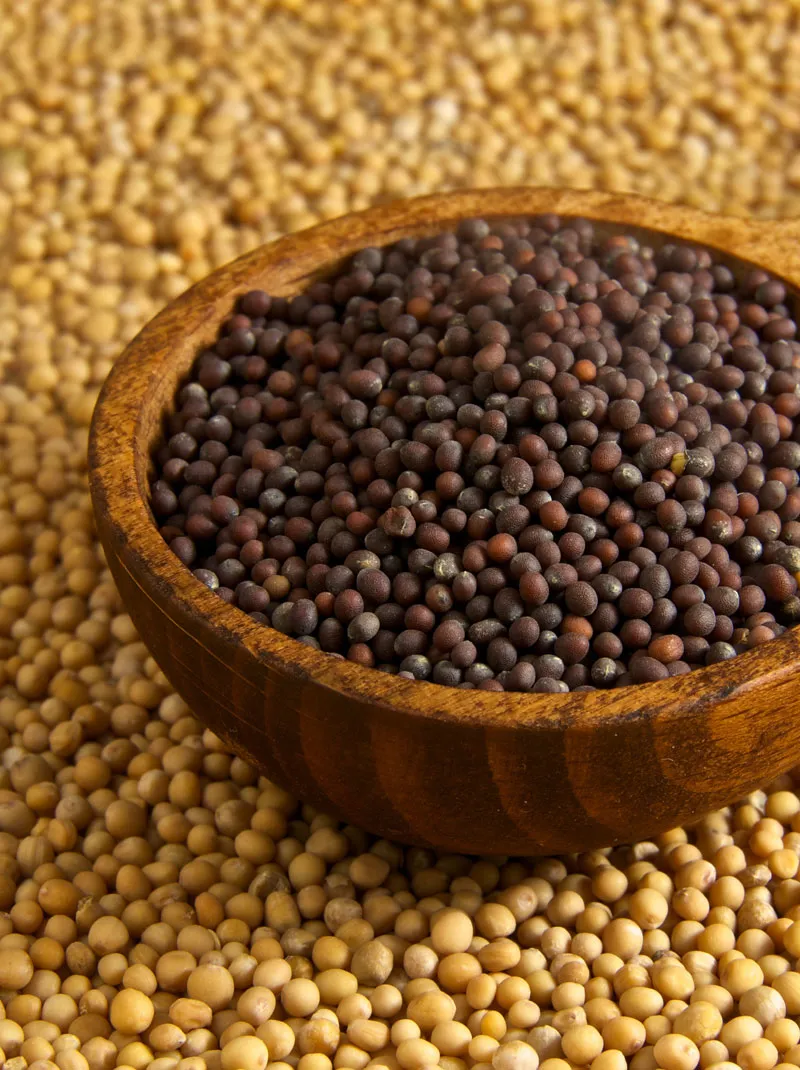 Black Brown Mustard Seeds