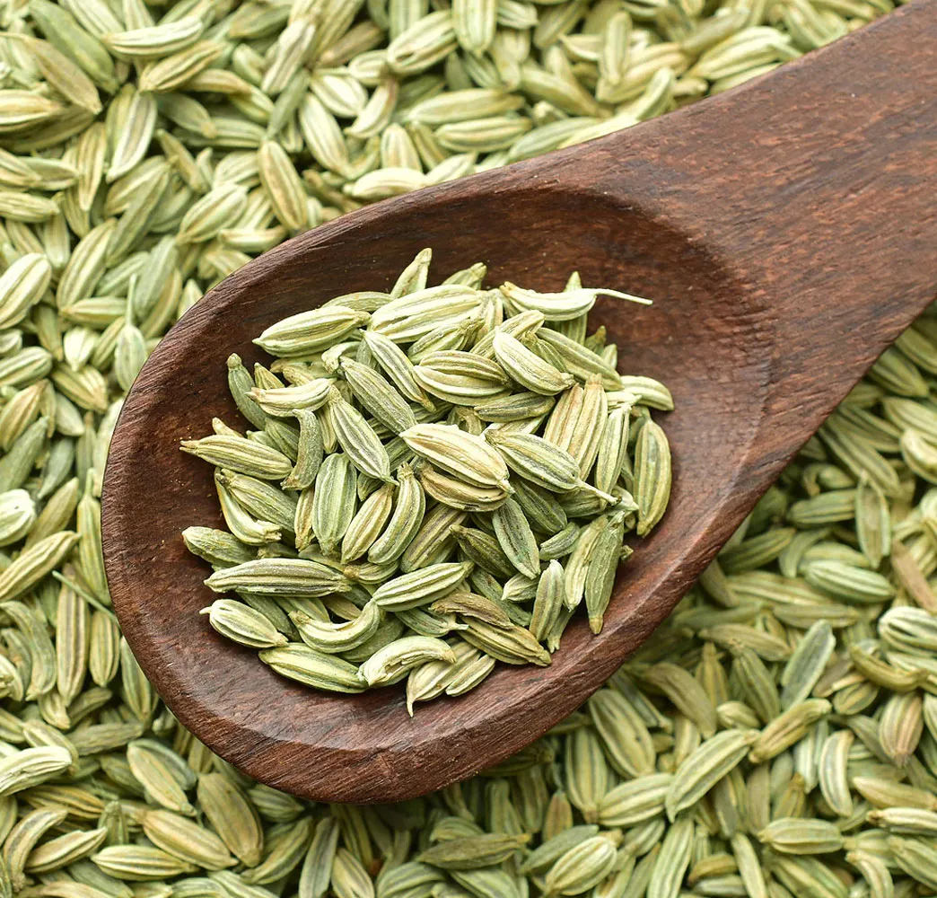 Fennel Seeds