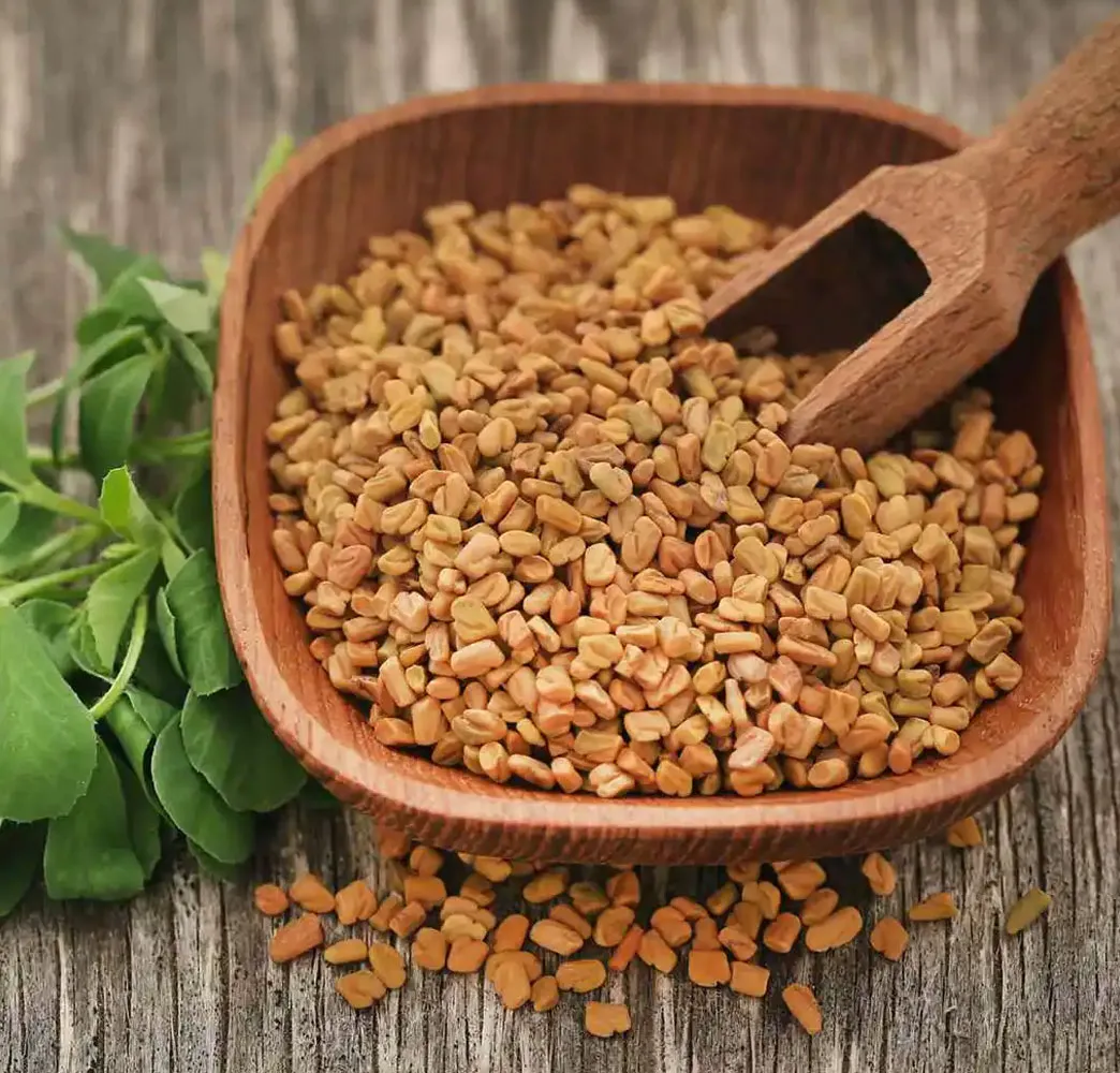 Fenugreek Seeds